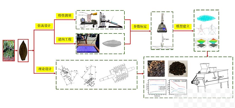 我国杜仲播种采收有望全面实现机械化